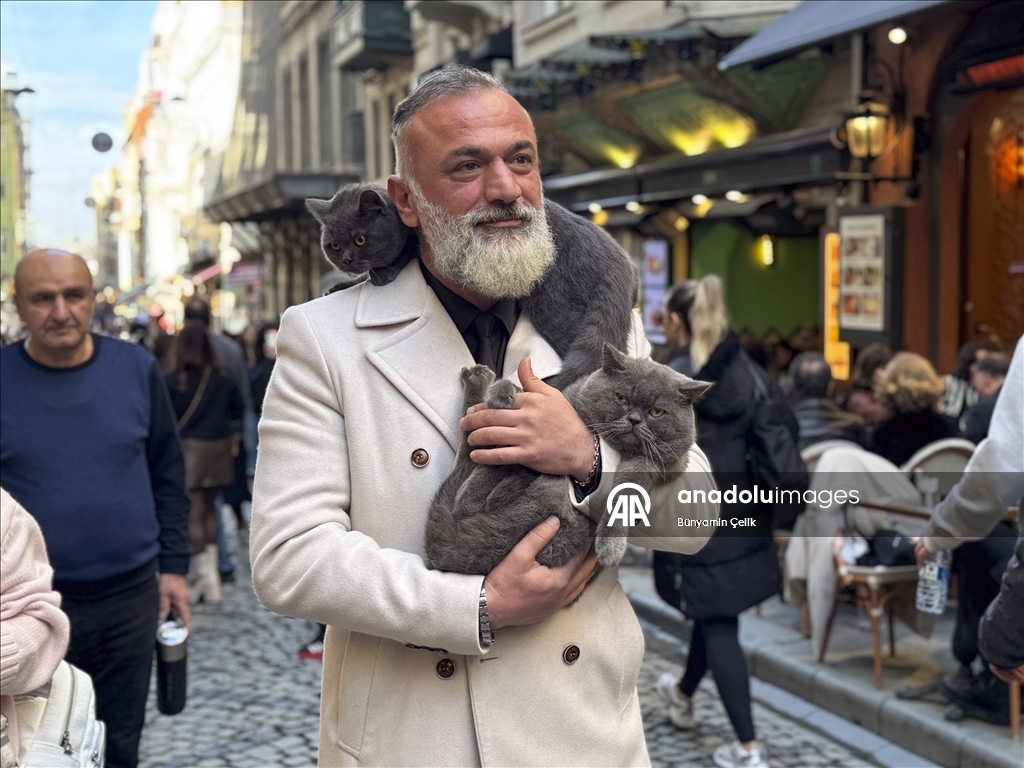 على كتف صاحبه.. قط يجوب معالم إسطنبول وصغيرته تلتحق بالمغامرة