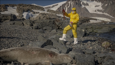 Türk bilim insanları Antarktika'daki araştırmalarıyla sağlık ve tarıma ışık tutuyor
