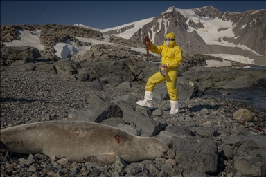 في قلب الجليد.. علماء أتراك يستكشفون حلولا صحية وزراعية