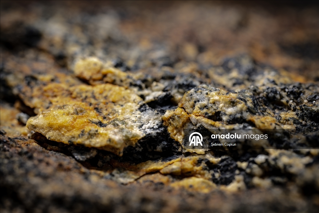 Турецкие и болгарские геологи исследуют многомиллионную геологическую историю Антарктики