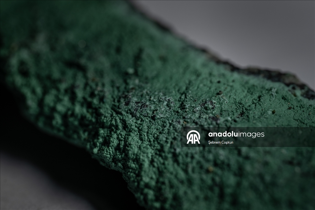 Турецкие и болгарские геологи исследуют многомиллионную геологическую историю Антарктики