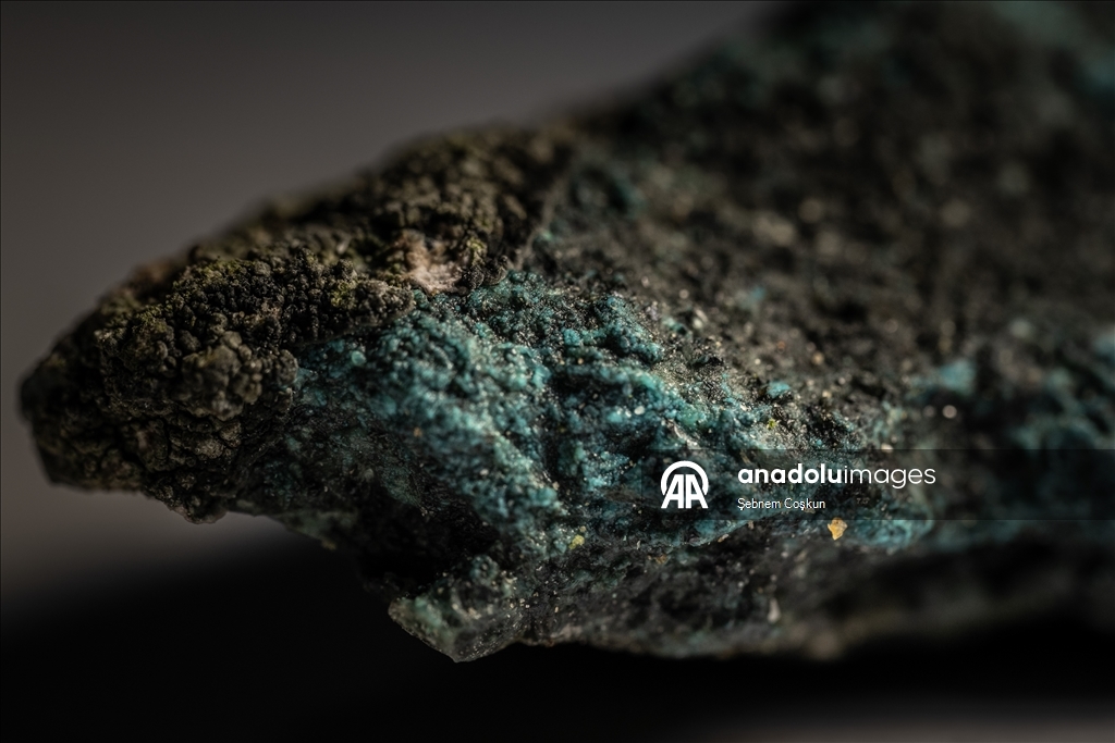 Турецкие и болгарские геологи исследуют многомиллионную геологическую историю Антарктики