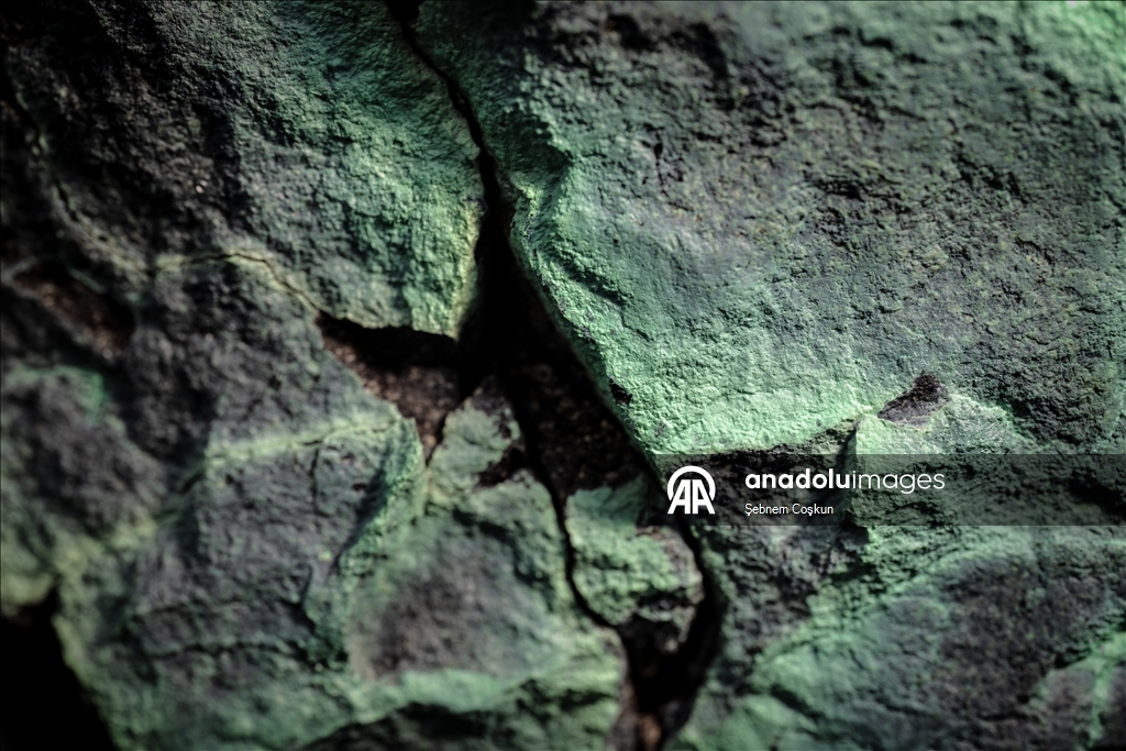 Турецкие и болгарские геологи исследуют многомиллионную геологическую историю Антарктики