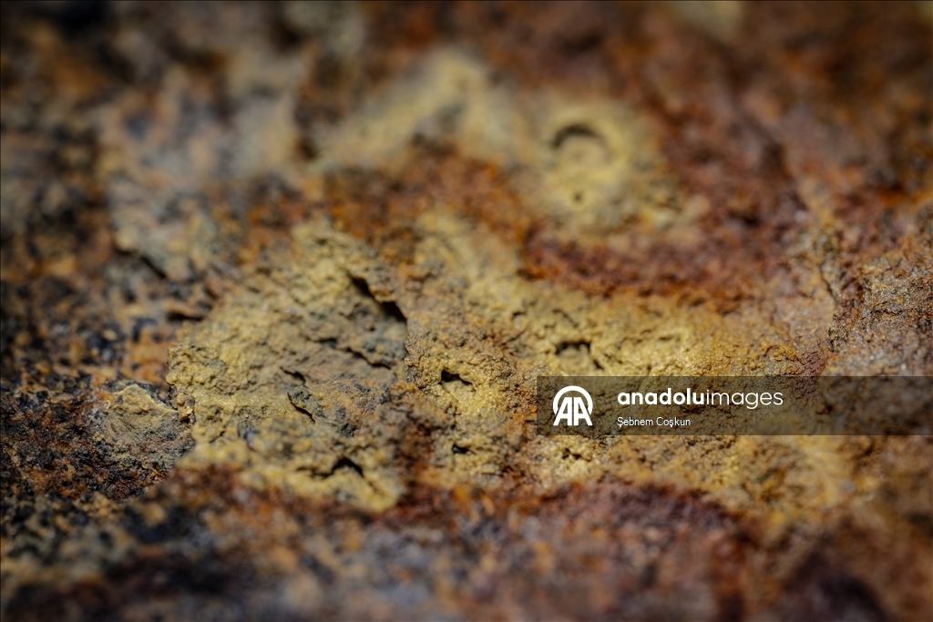 Турецкие и болгарские геологи исследуют многомиллионную геологическую историю Антарктики