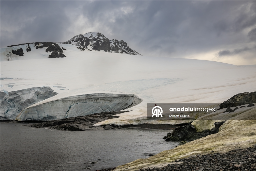 Турецкие ученые совершили восхождение на ледник Шусмит в Антарктиде