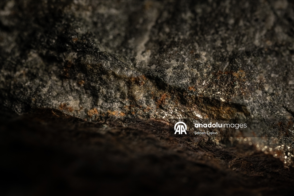 Турецкие и болгарские геологи исследуют многомиллионную геологическую историю Антарктики