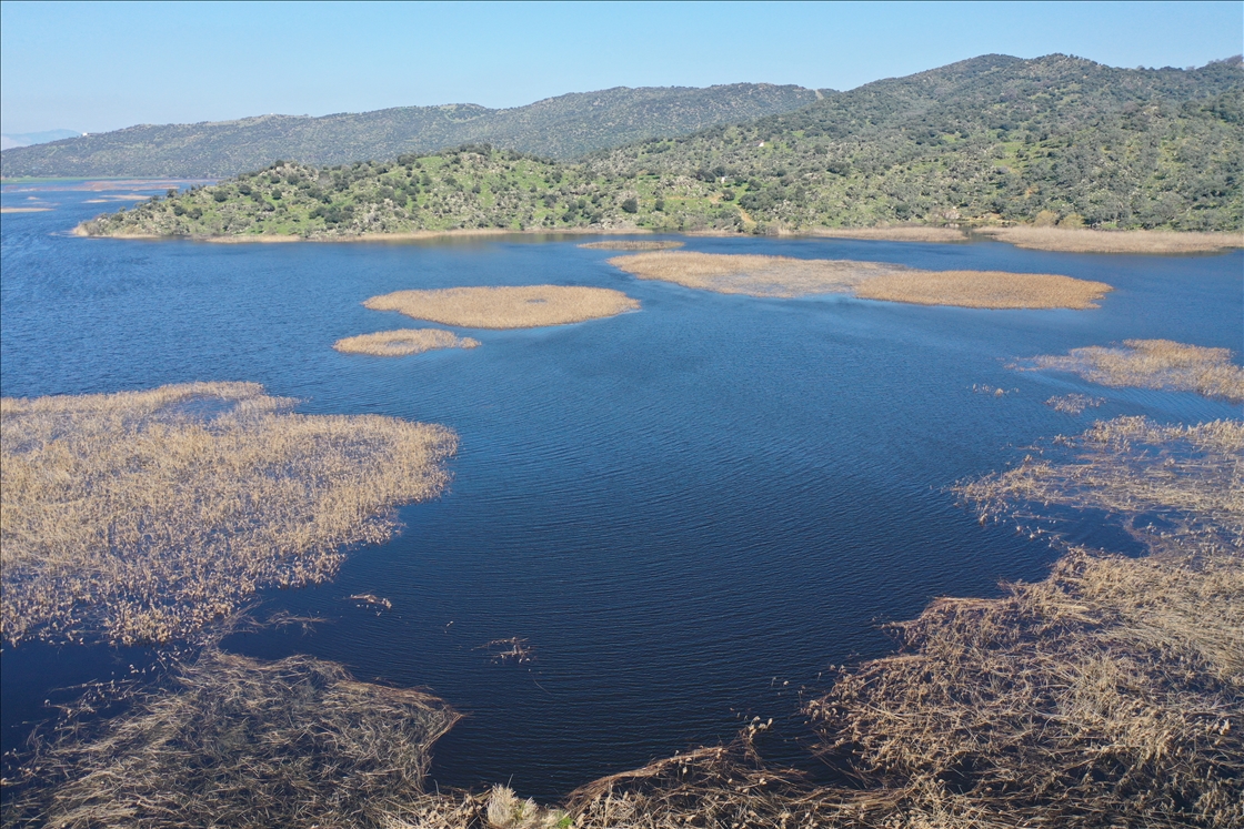 Kış yağışları Aydın'daki Azap Gölü'ne can verdi