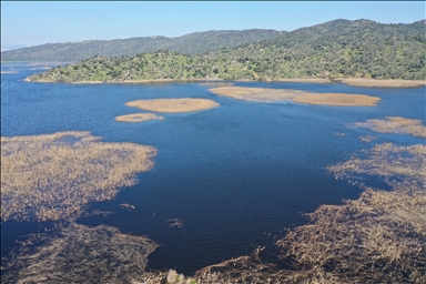 Kış yağışları Aydın'daki Azap Gölü'ne can verdi