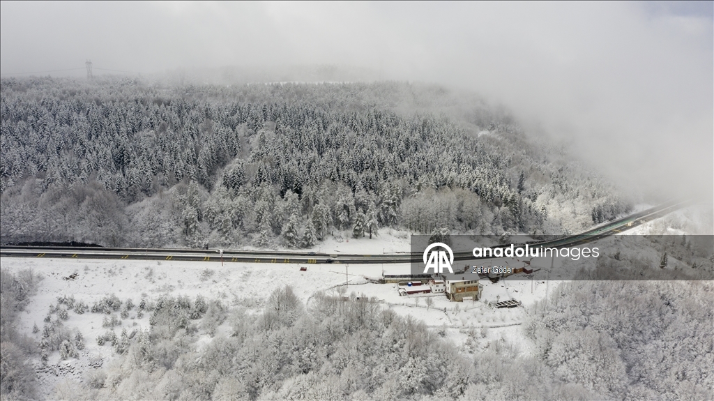 Bolu Dağı'nda kar ve sis 