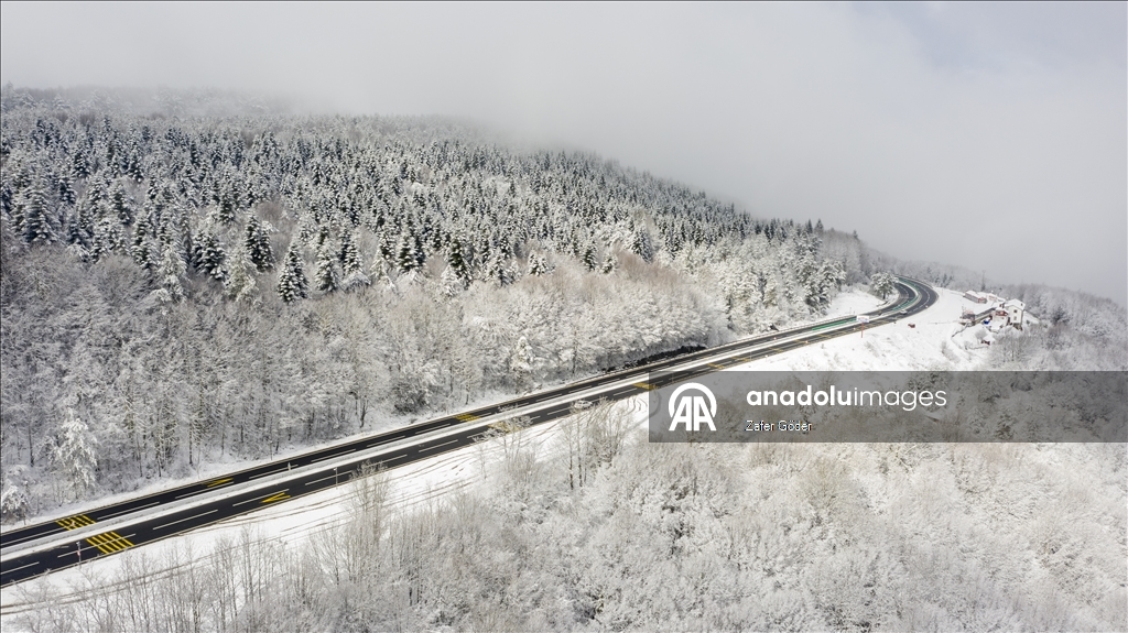 Bolu Dağı'nda kar ve sis 