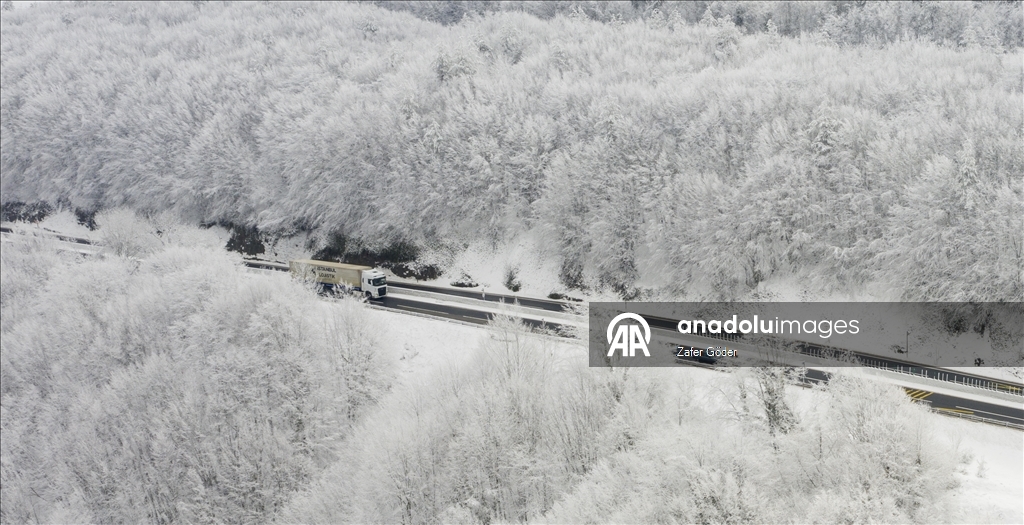 Bolu Dağı'nda kar ve sis 