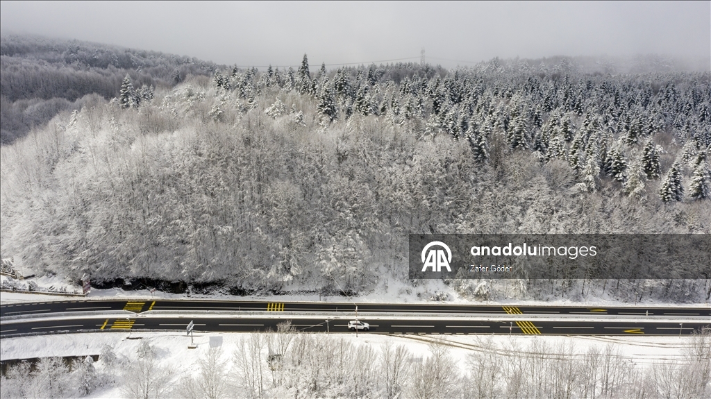 Bolu Dağı'nda kar ve sis 