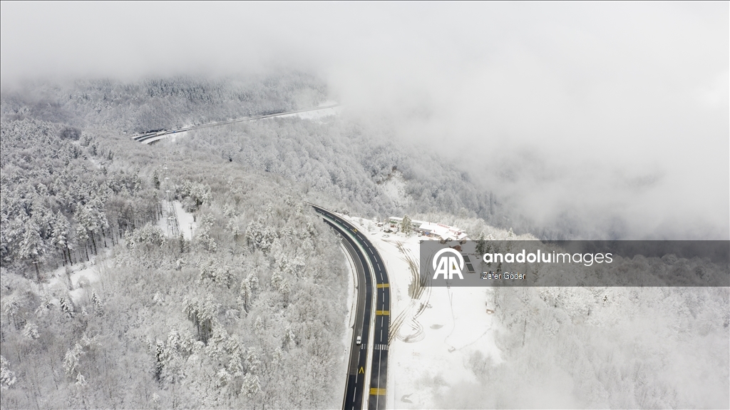 Bolu Dağı'nda kar ve sis 