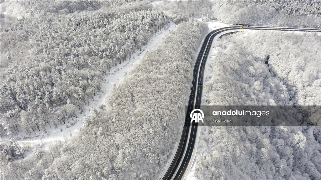 Bolu Dağı'nda kar ve sis 