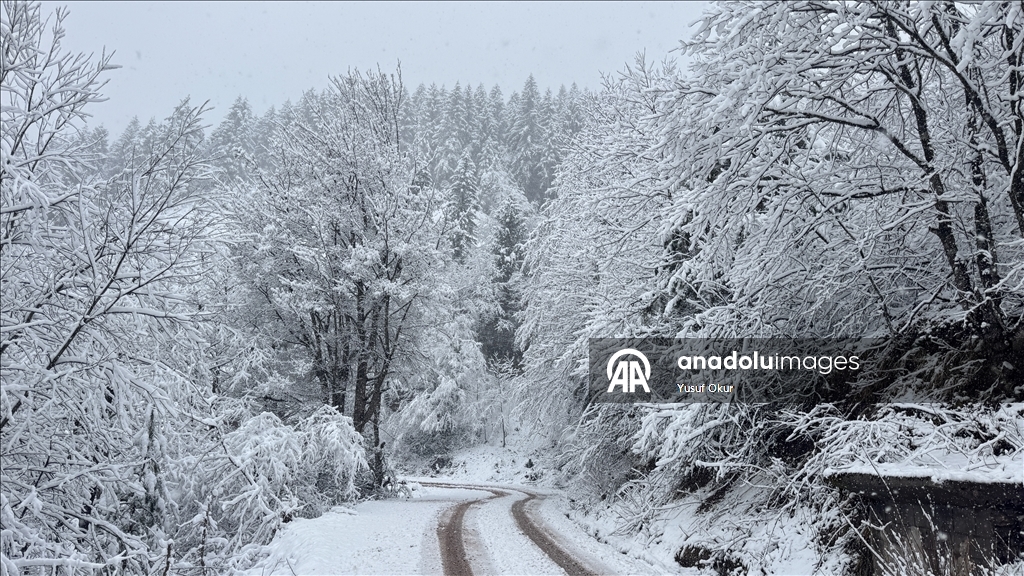 Artvin'de kar yağışı etkili oldu