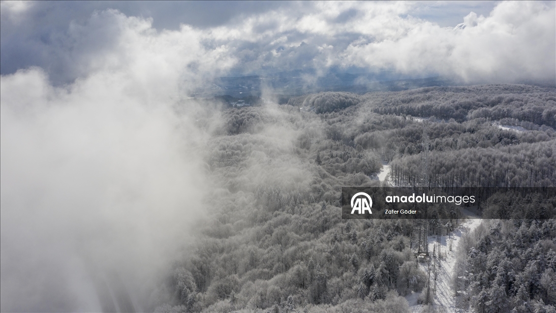 Bolu Dağı'nda kar ve sis 