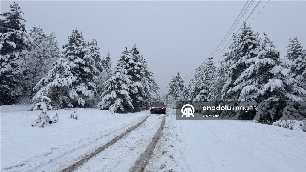 Artvin'de kar yağışı etkili oldu