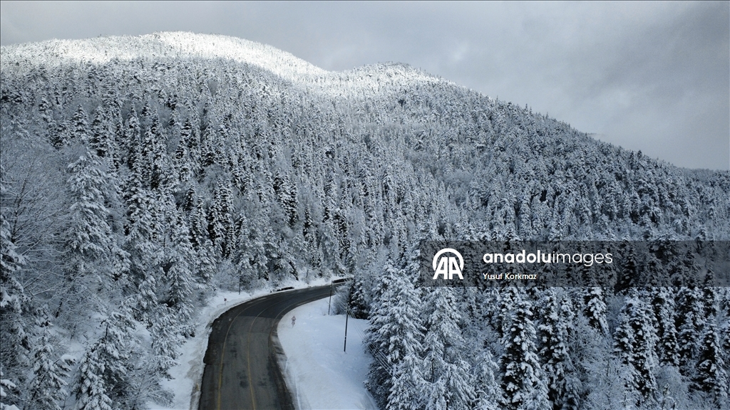 Karabük'ün yüksek kesimlerinde kar etkili oldu