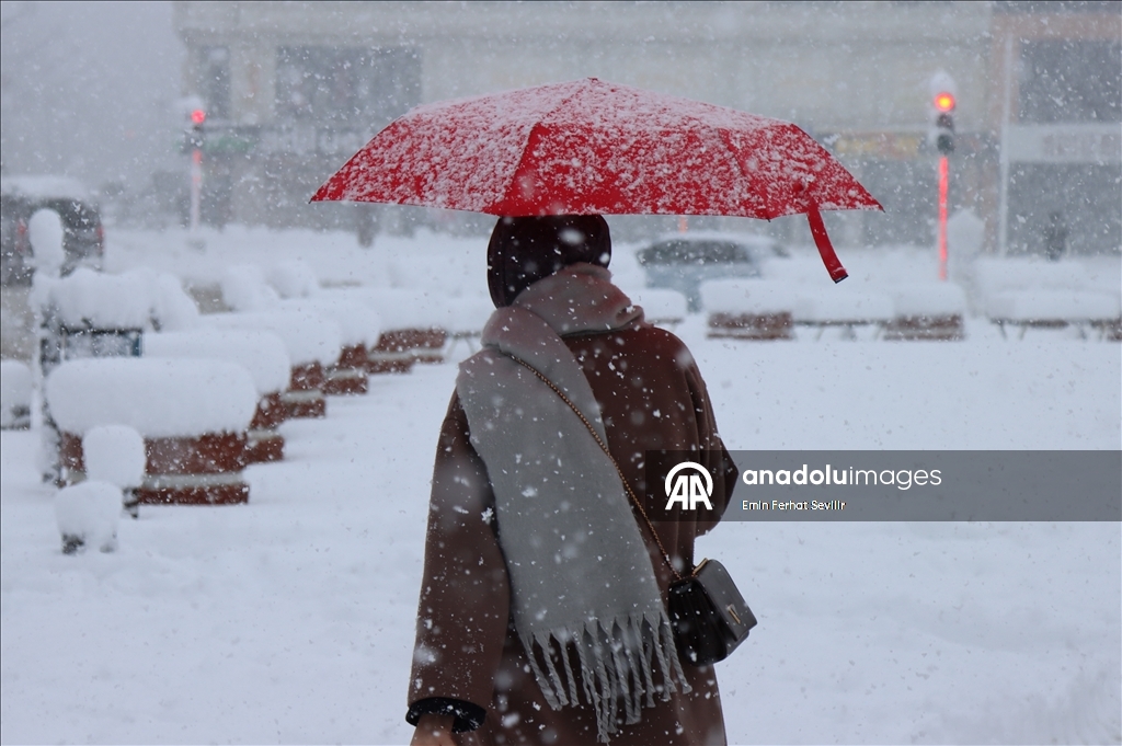 Erzincan'da kar yağışı