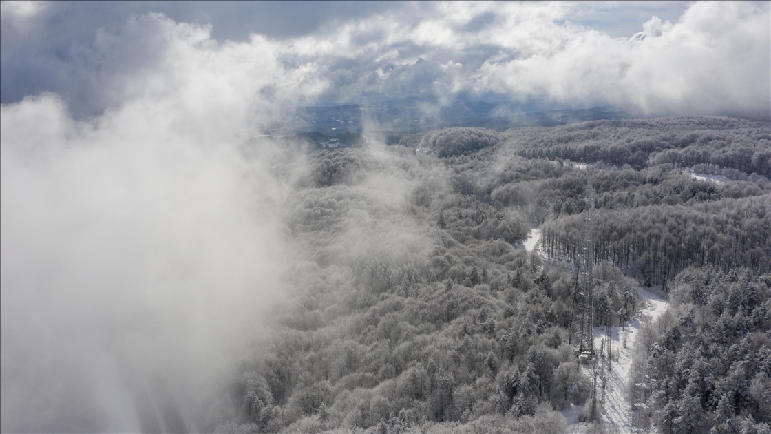 Bolu Dağı'nda kar ve sis