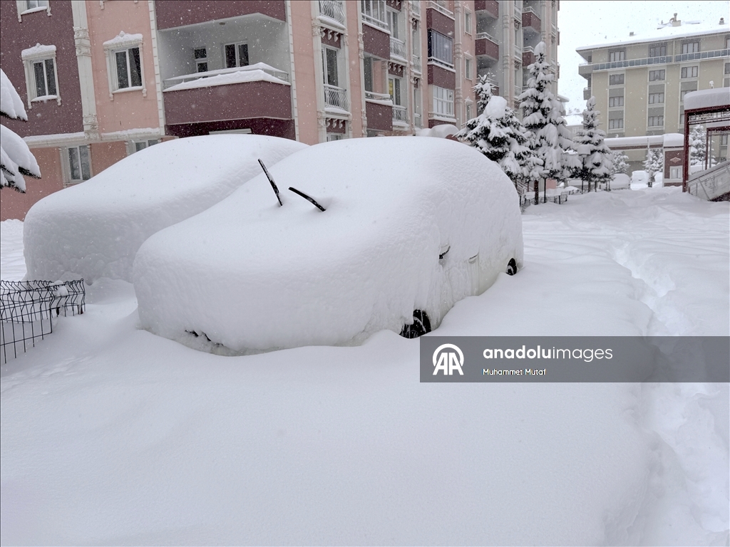 Erzurum'da kar yağışı