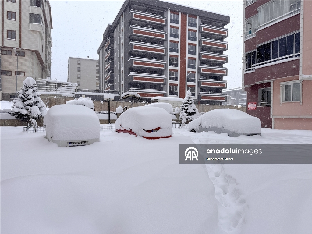 Erzurum'da kar yağışı
