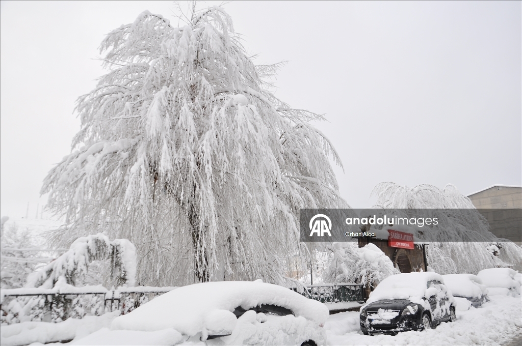 В многих регионах Турции наблюдается снег и холодная погода 39