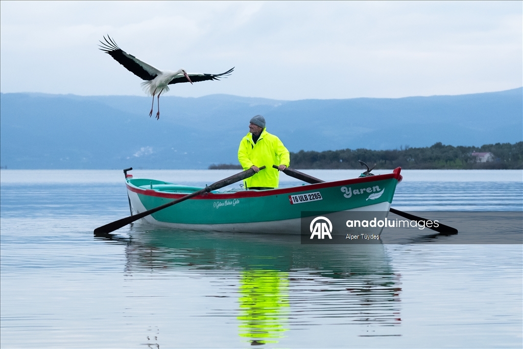 Yaren Leylek 15. yılda da göçüp geldi