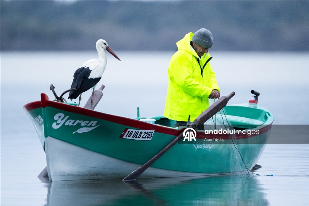 Yaren Leylek 15. yılda da göçüp geldi