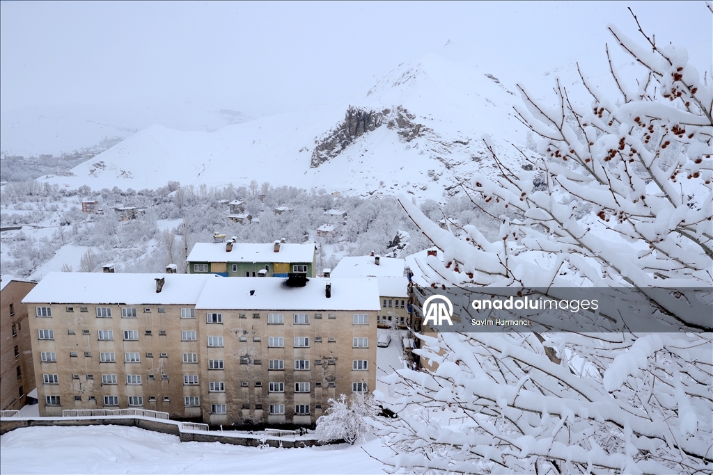Hakkari'de kar etkili oldu