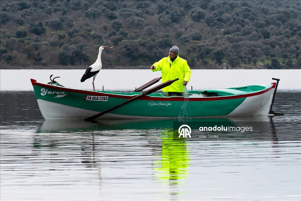 Yaren Leylek 15. yılda da göçüp geldi