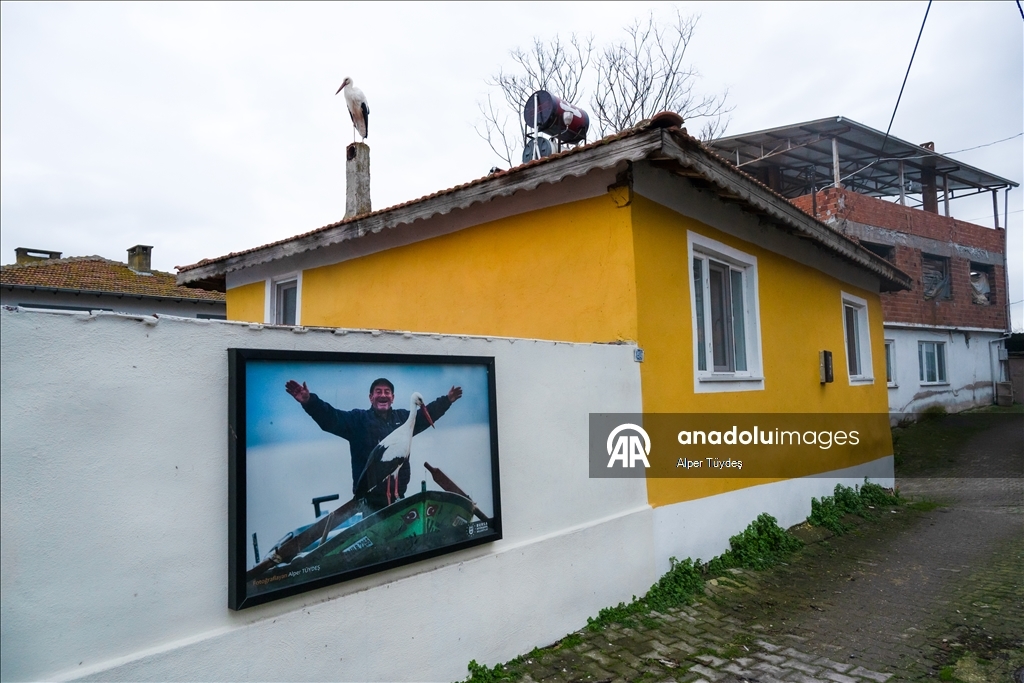 Yaren Leylek 15. yılda da göçüp geldi