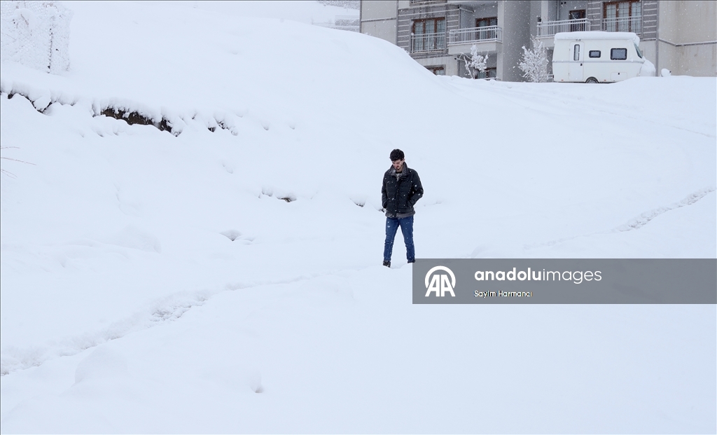 Hakkari'de kar etkili oldu