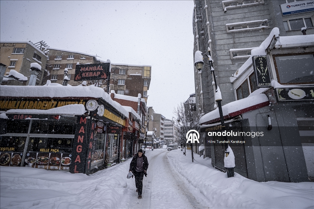 Karla kaplanan Erzurum'da ulaşım güçlükle sağlanıyor