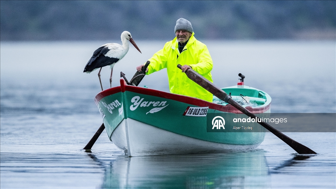 Yaren Leylek 15. yılda da göçüp geldi