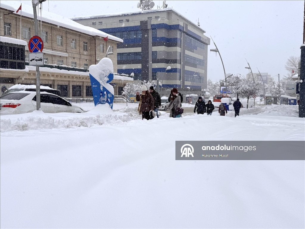 Erzurum'da kar yağışı