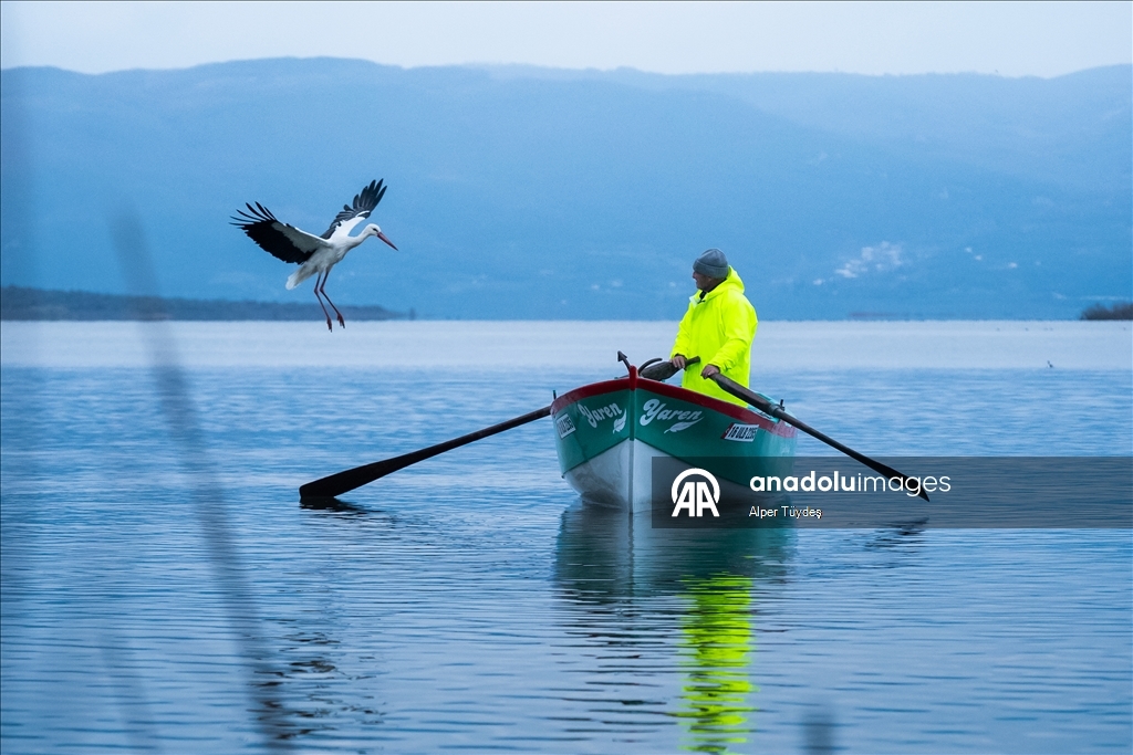 Yaren Leylek 15. yılda da göçüp geldi
