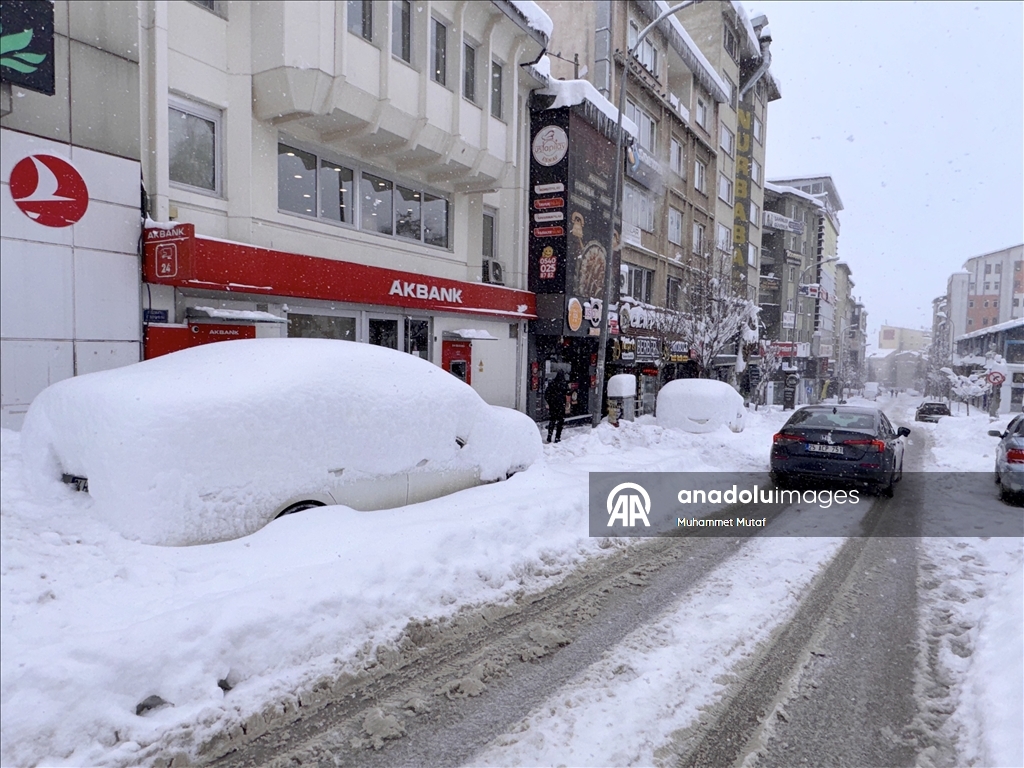 Erzurum'da kar yağışı