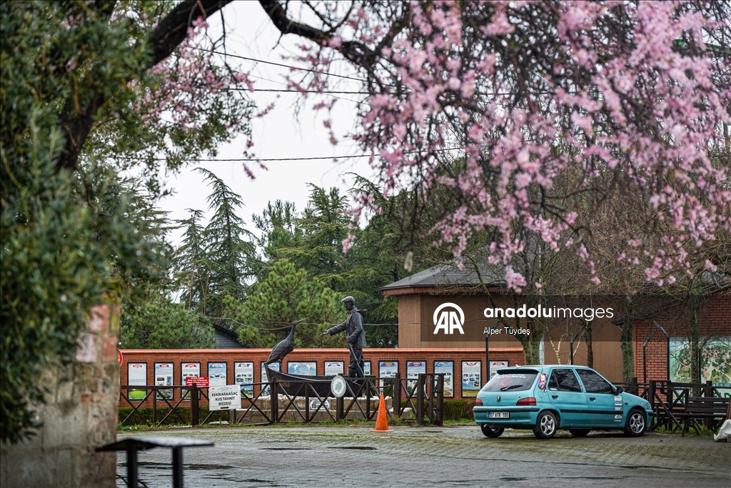 Yaren Leylek 15. yılda da göçüp geldi