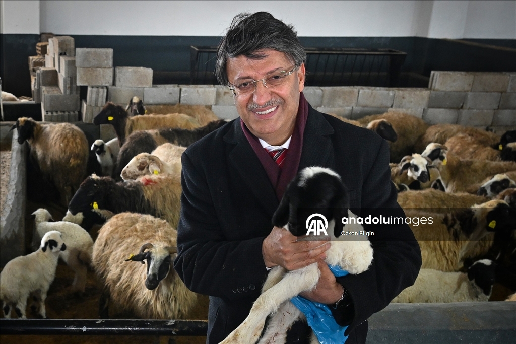 Küçükbaş hayvancılığa destek projesi Vanlı çiftçileri sevindirdi