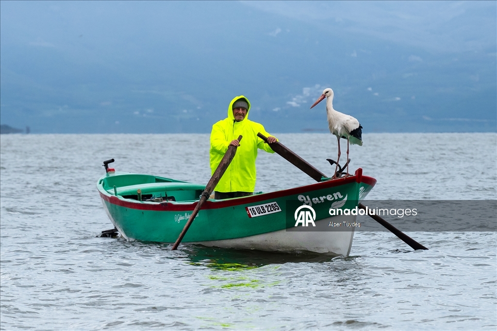 Yaren Leylek 15. yılda da göçüp geldi