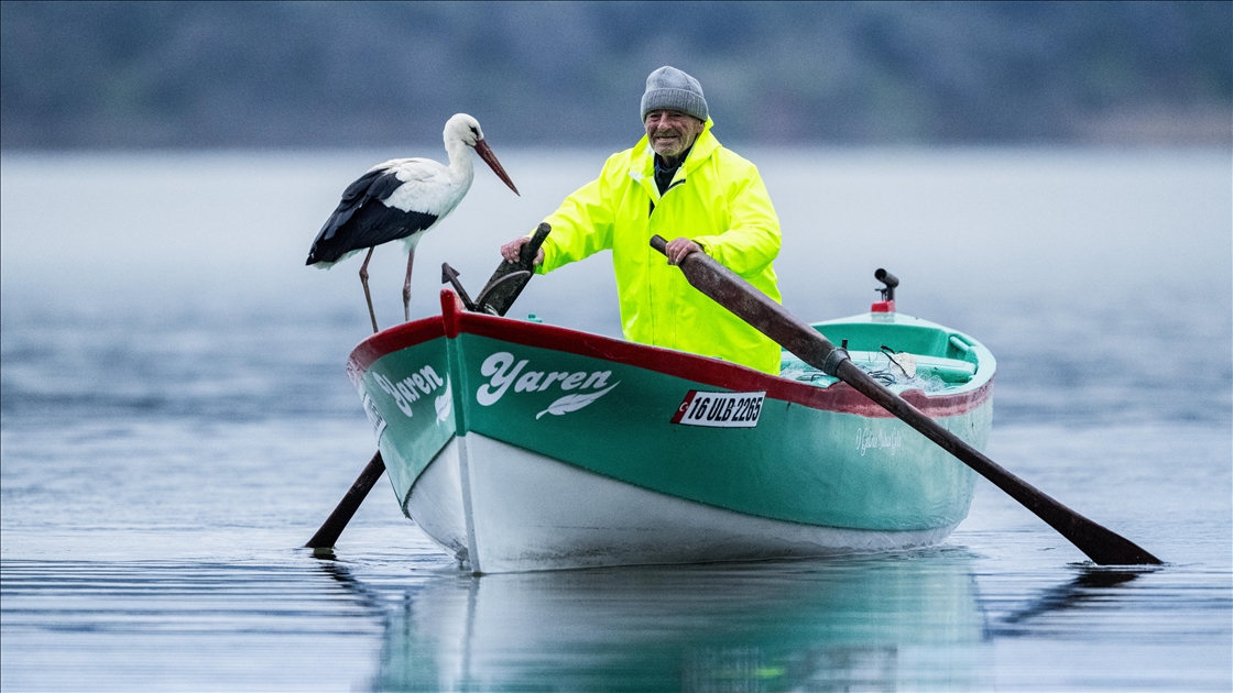 Yaren Leylek 15. yılda da göçüp geldi