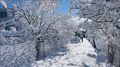 Doğuda etkisini sürdüren kar yağışı hayatı olumsuz etkiliyor