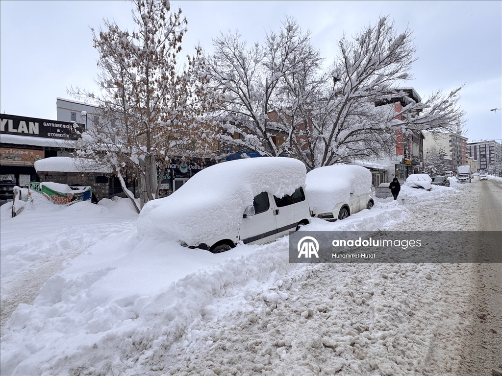 Erzurum'da soğuk hava etkili oluyor