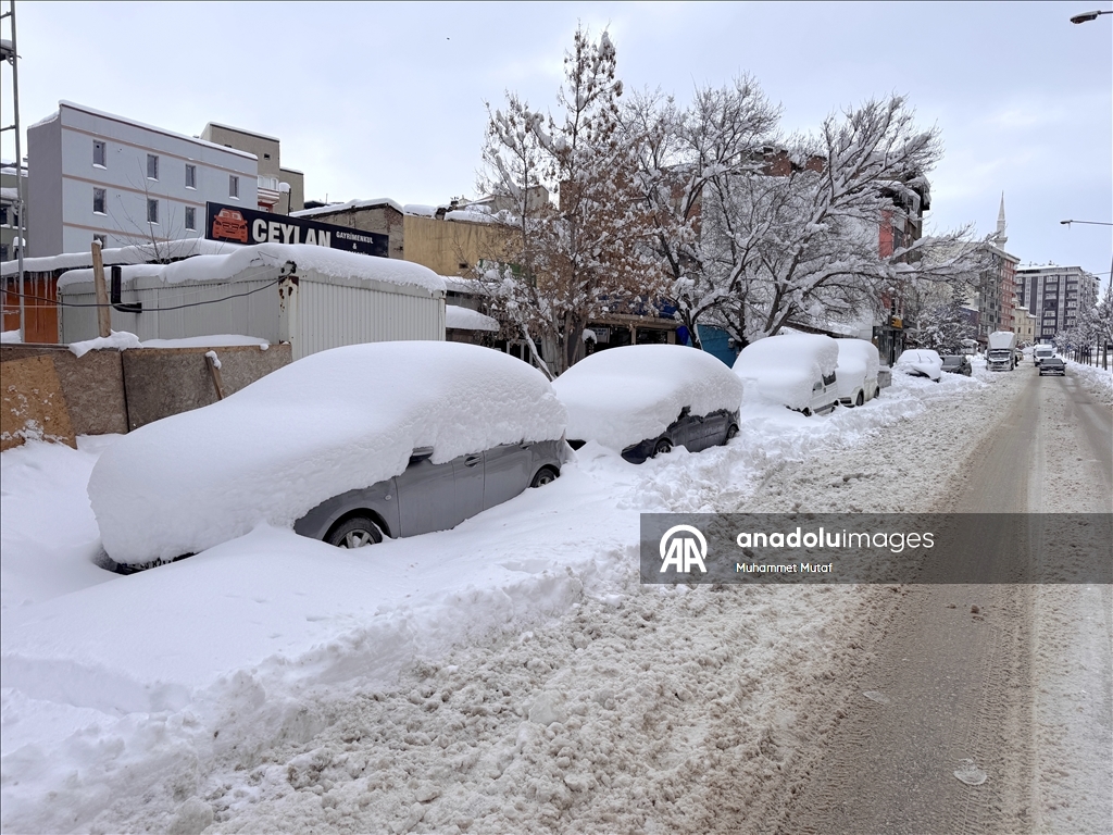 Erzurum'da soğuk hava etkili oluyor