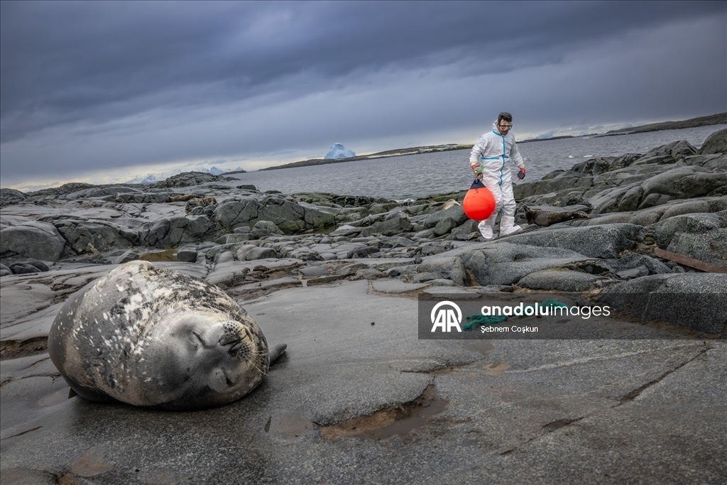 Antarktika'da 10. yıl: Türk bilim insanları gezegenin geleceği için çözüm arayışını sürdürüyor