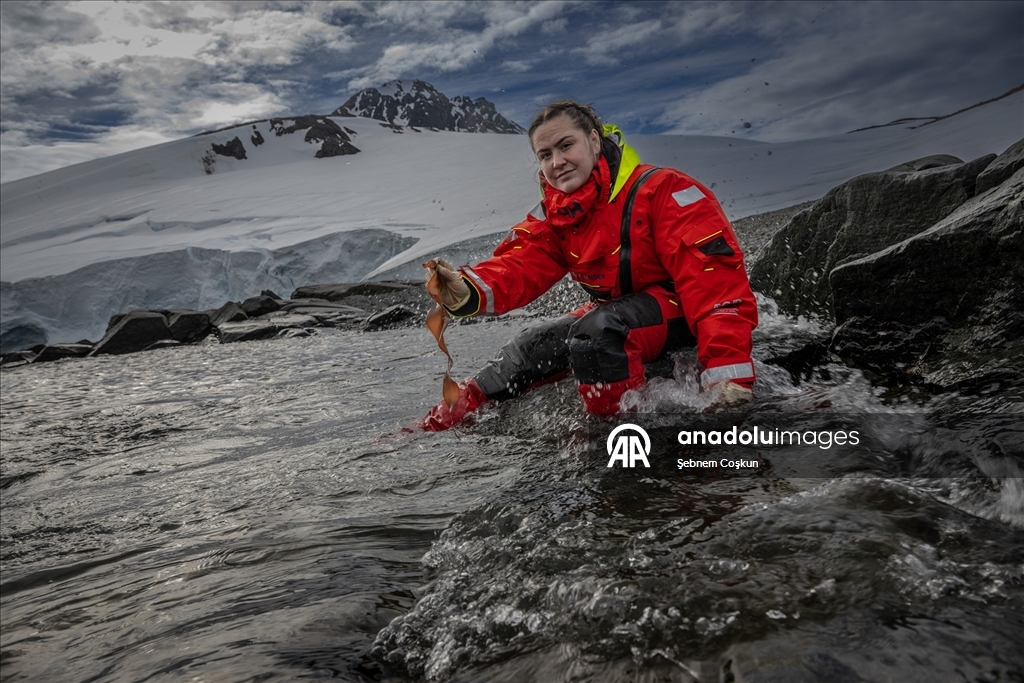 Antarktika'da 10. yıl: Türk bilim insanları gezegenin geleceği için çözüm arayışını sürdürüyor