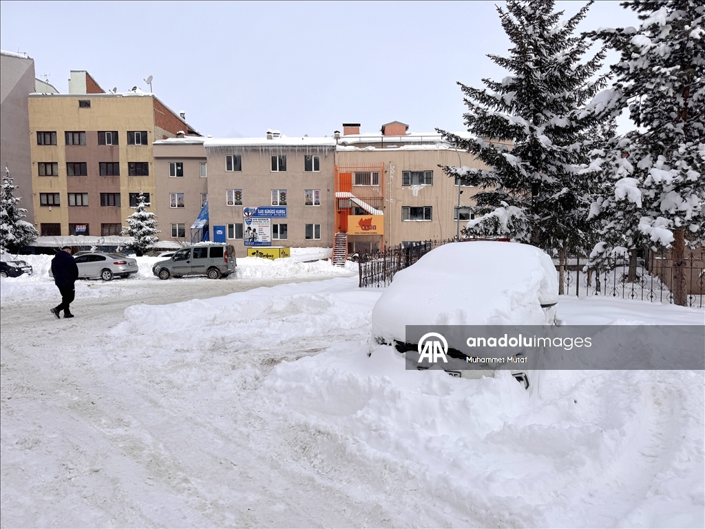 Erzurum'da soğuk hava etkili oluyor