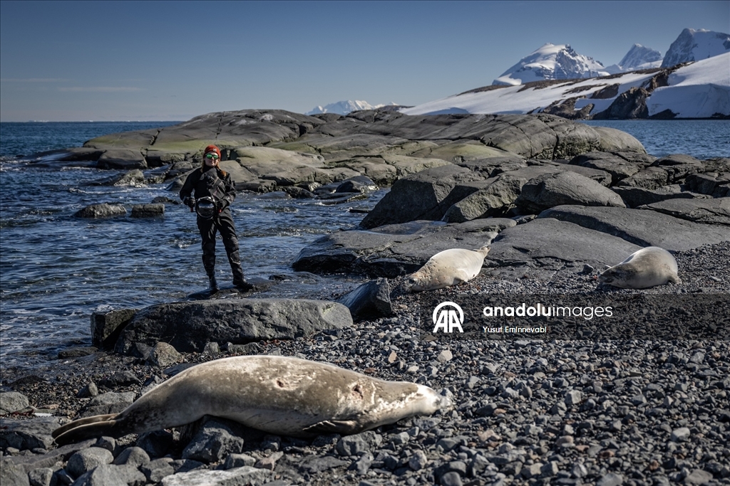 Antarktika'da 10. yıl: Türk bilim insanları gezegenin geleceği için çözüm arayışını sürdürüyor
