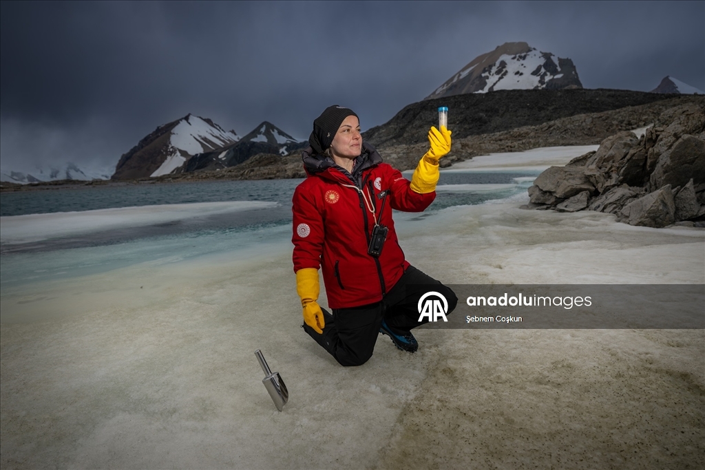 Antarktika'da 10. yıl: Türk bilim insanları gezegenin geleceği için çözüm arayışını sürdürüyor